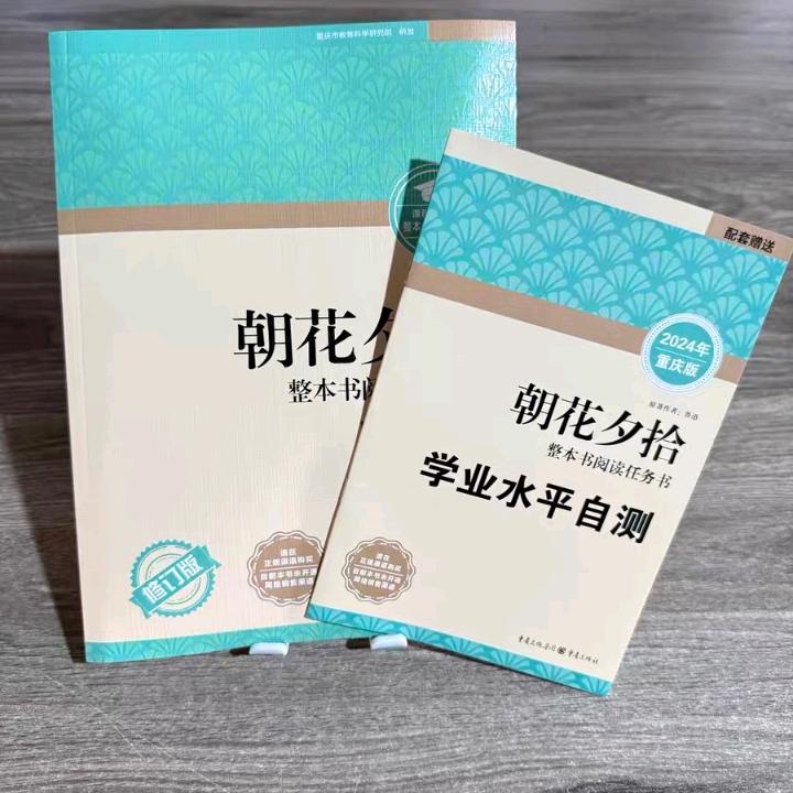 一个大鸡腿🍗