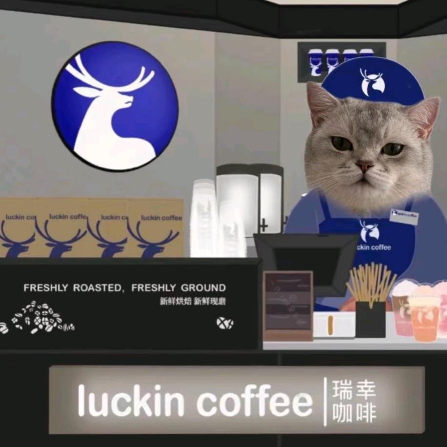 一只幸运的猫
