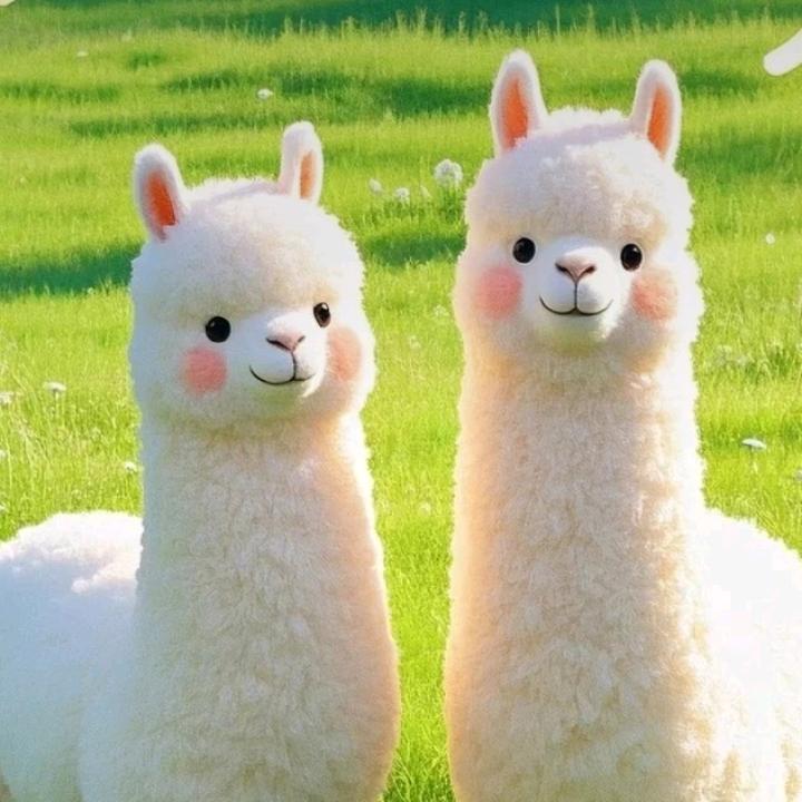 进人菜园摘人家瓜