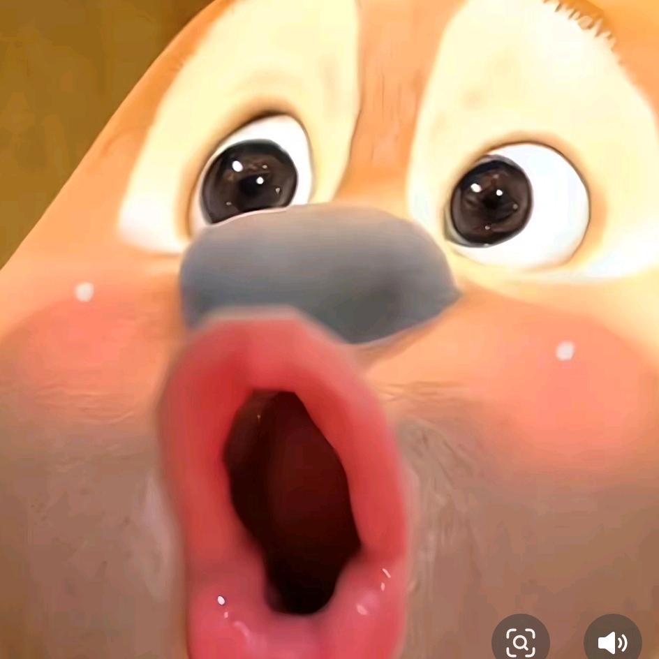 一个包子。