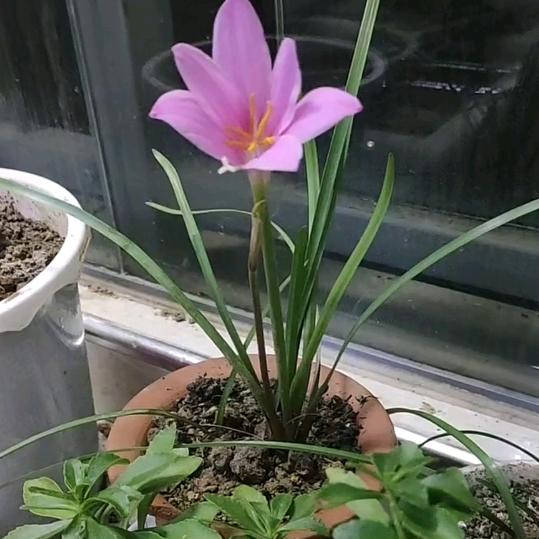 小潘潘