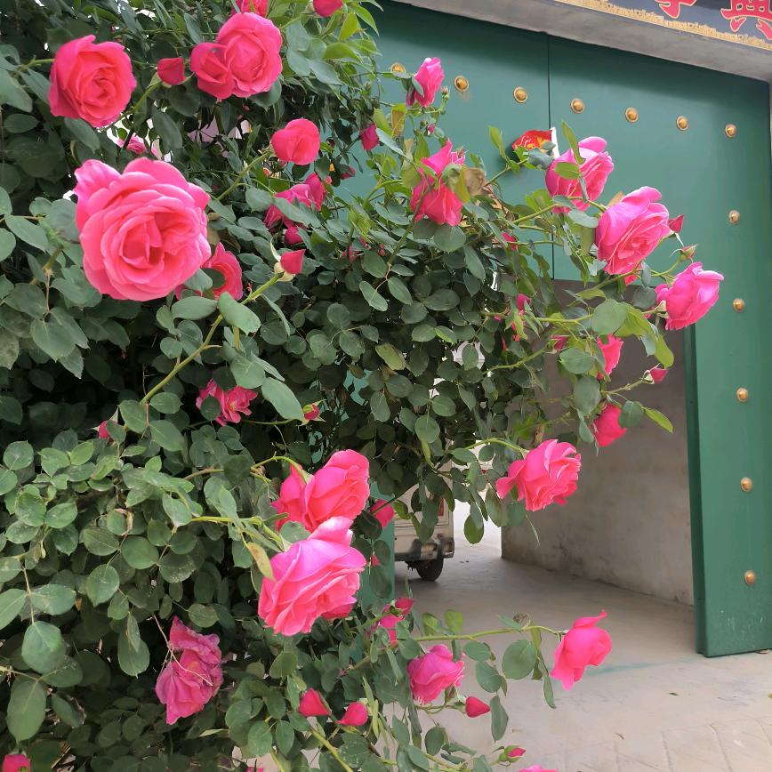 站着说话不腰疼