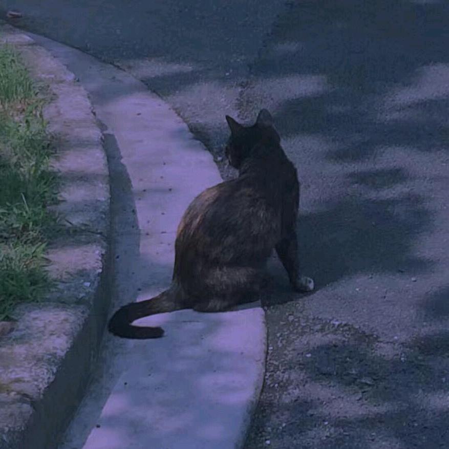 石英钟