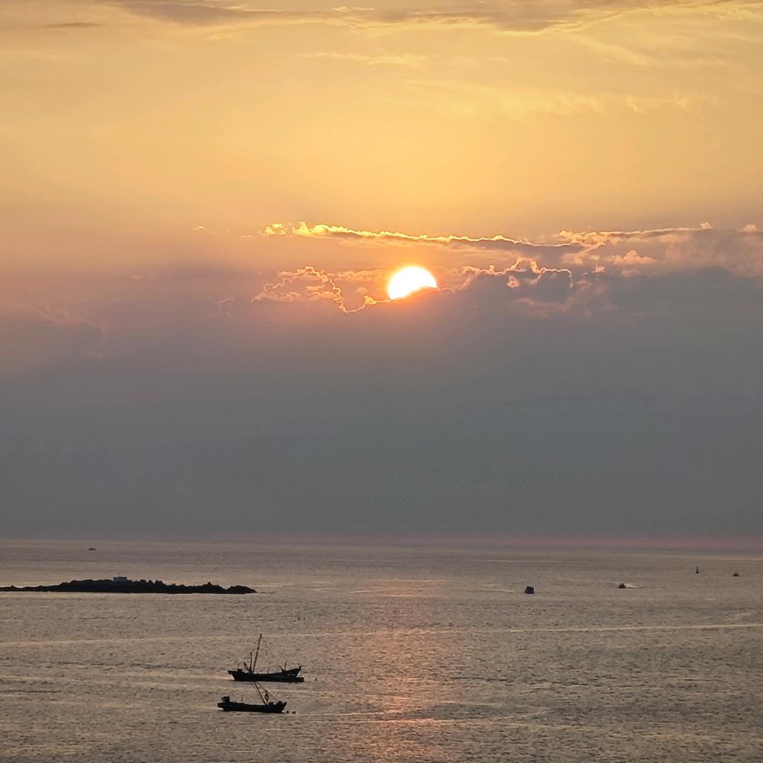 橘子橙子柚子葡萄