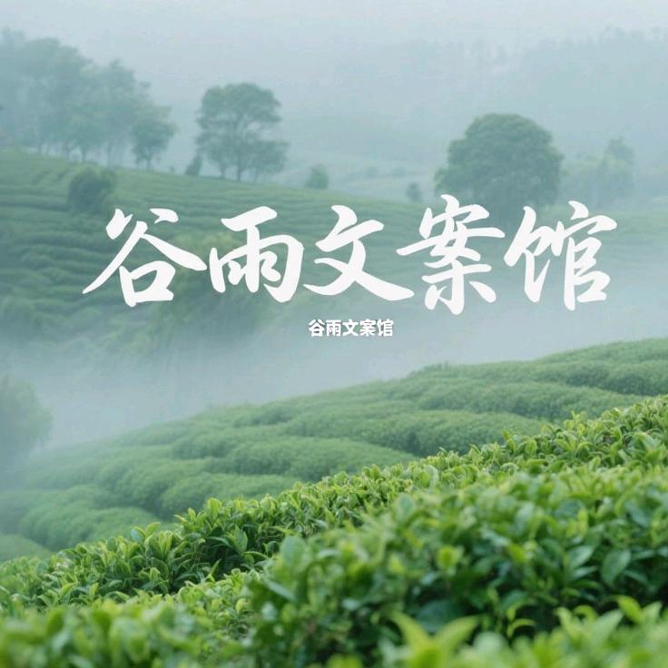 谷雨文案馆
