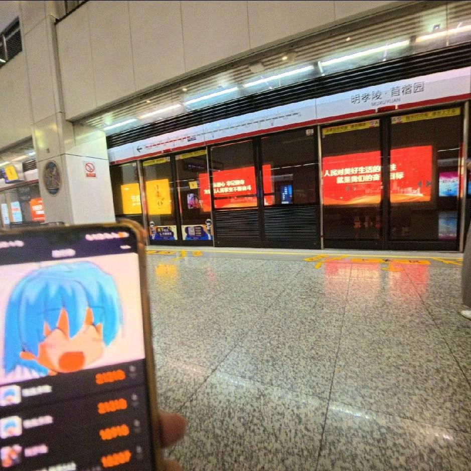 哈基飒