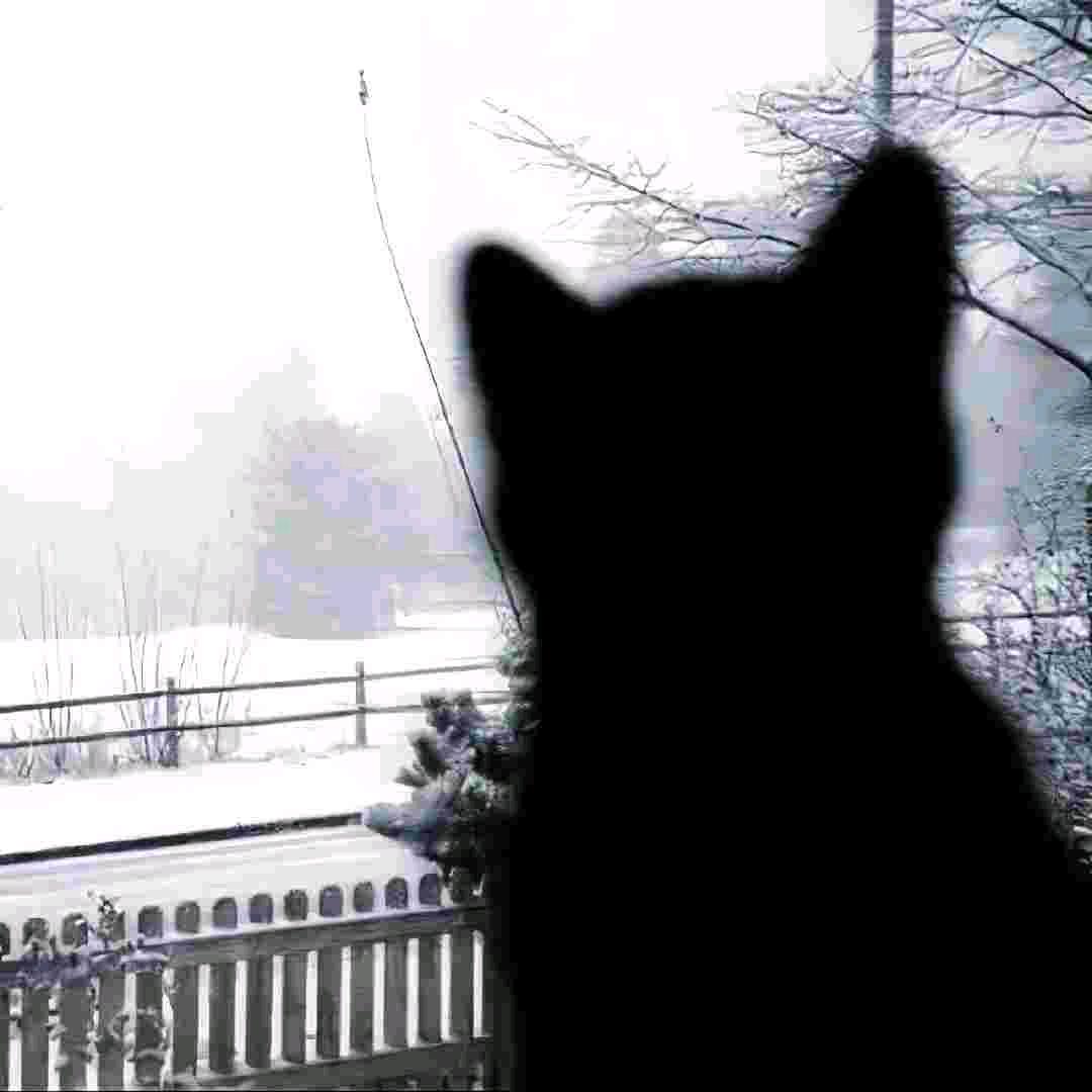 哦哦哦哦哦