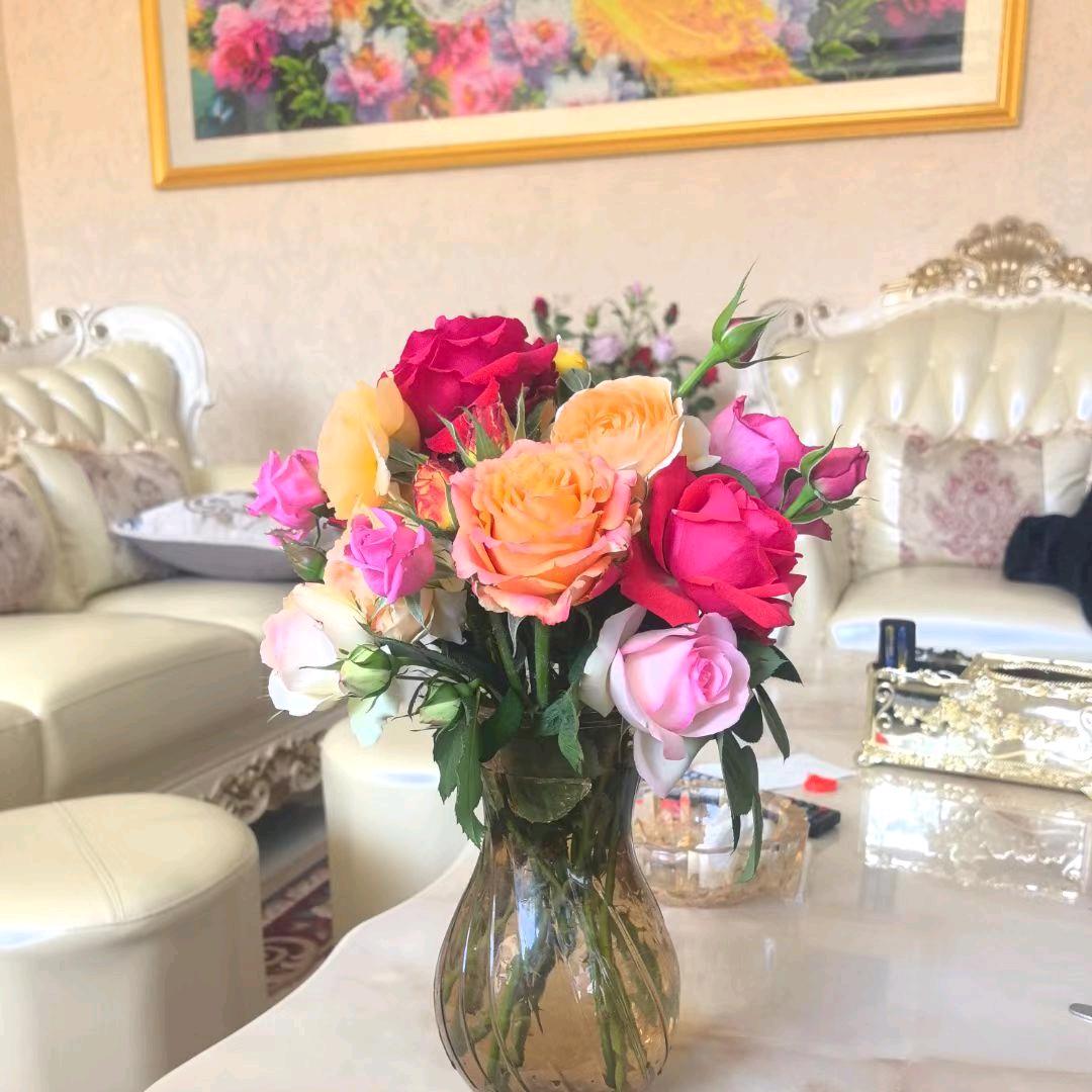 哈七益生菌工厂店