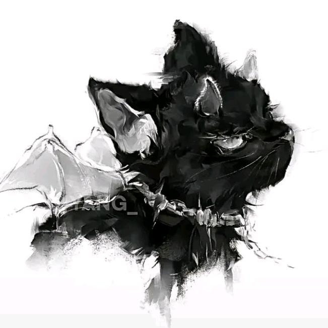 澈🐾