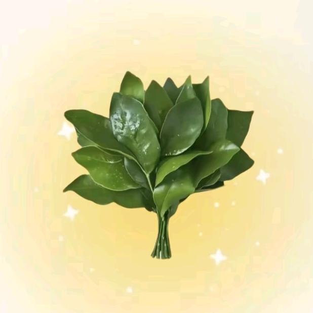 两个傍晚的月亮.