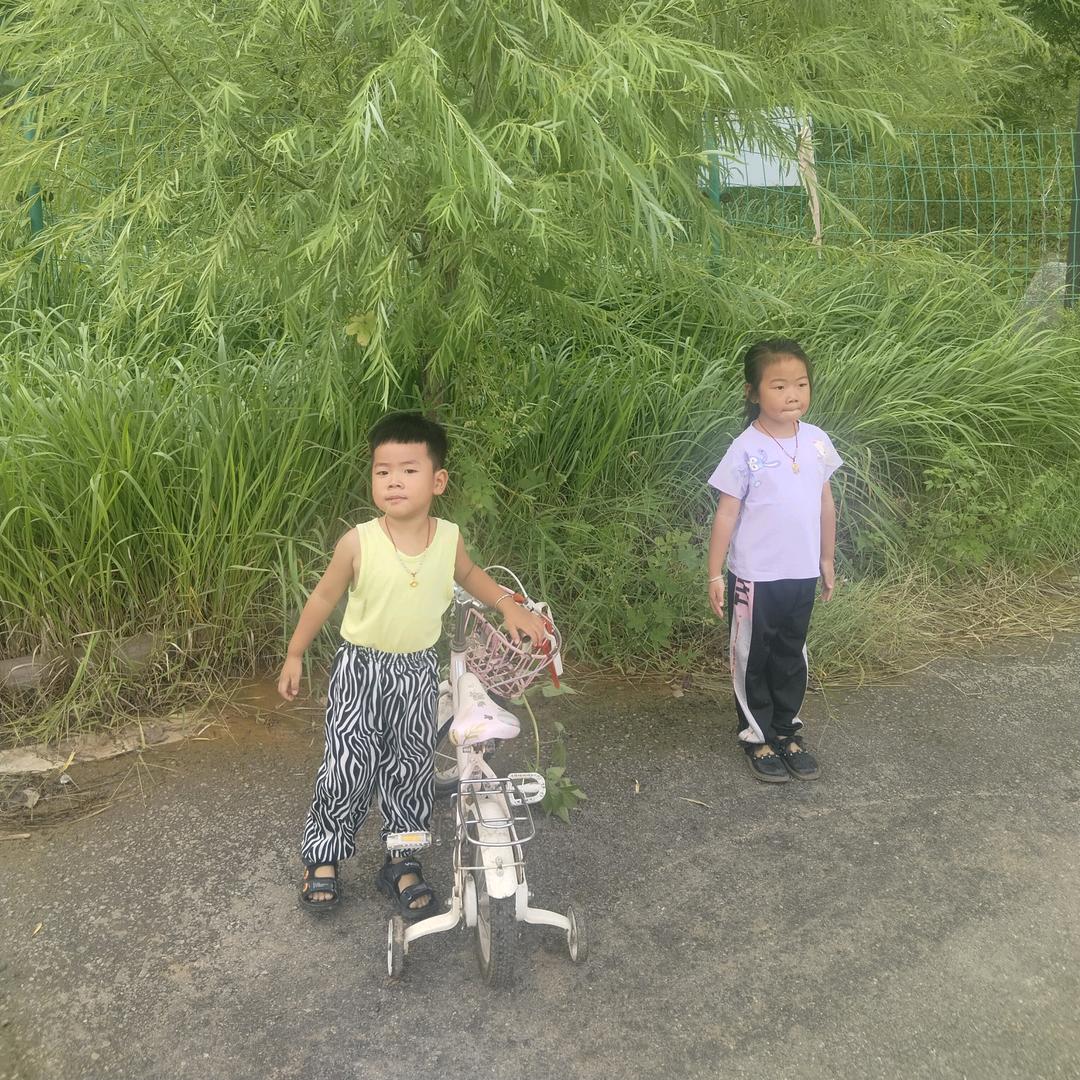 生命里的光