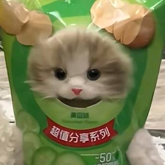 小猫不喵喵叫怎么叫.