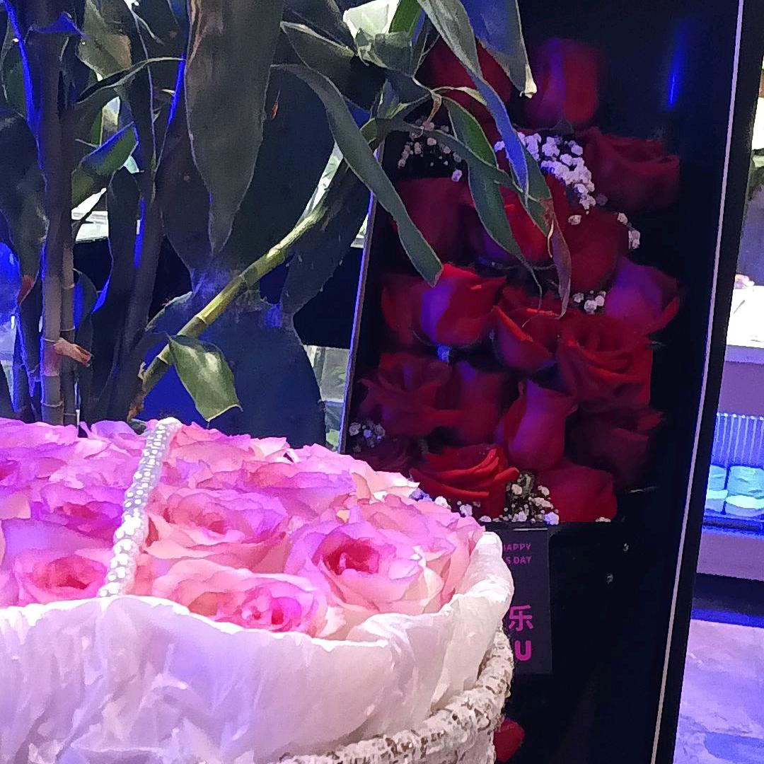 白玫瑰