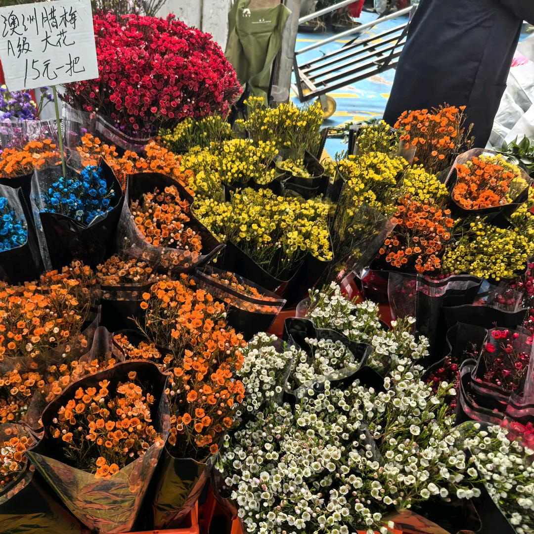 膝盖锻炼专场徐老师