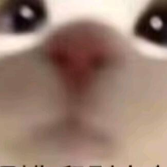 SensaiX