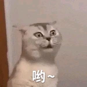 麻拐炒黄豆