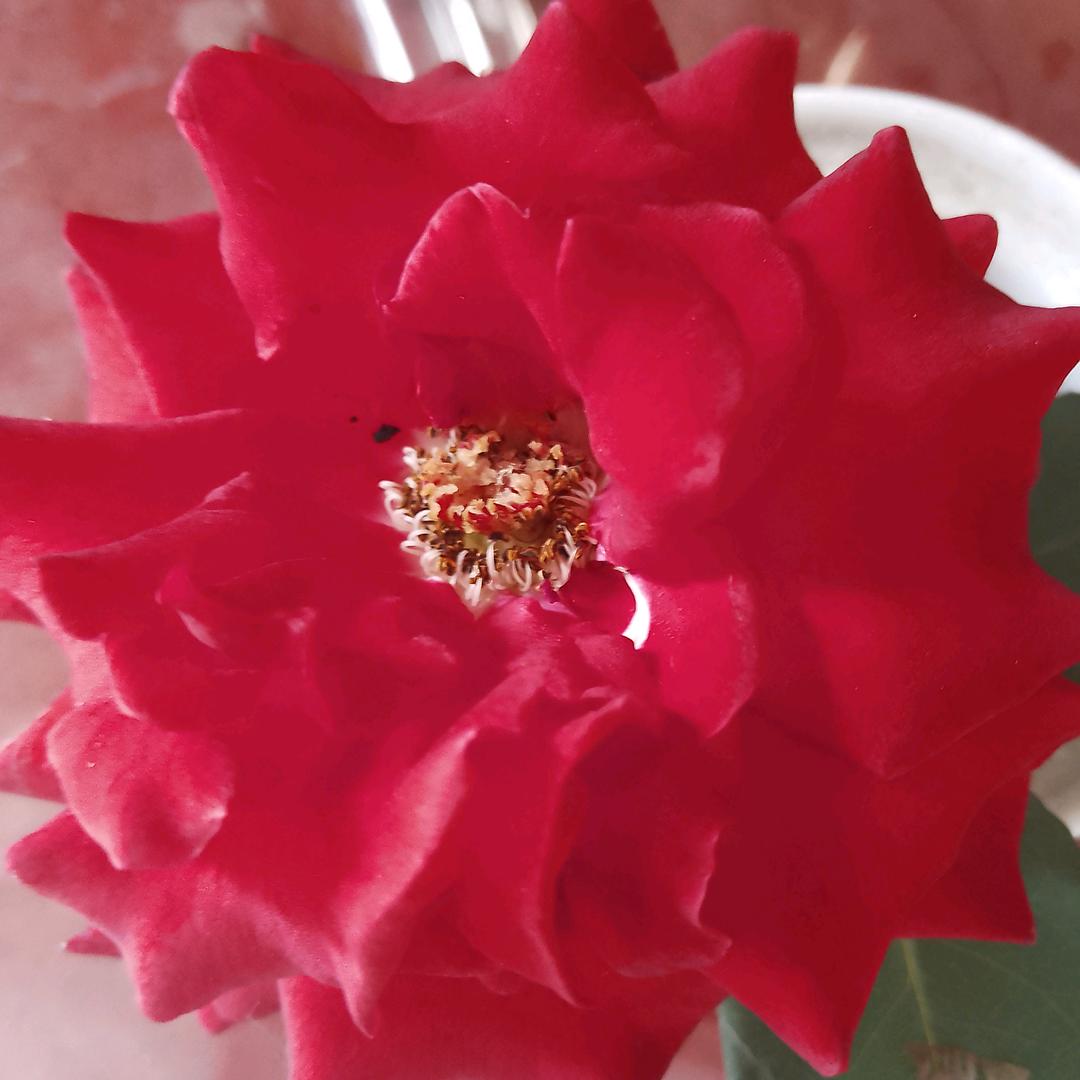 健康平安是真谛