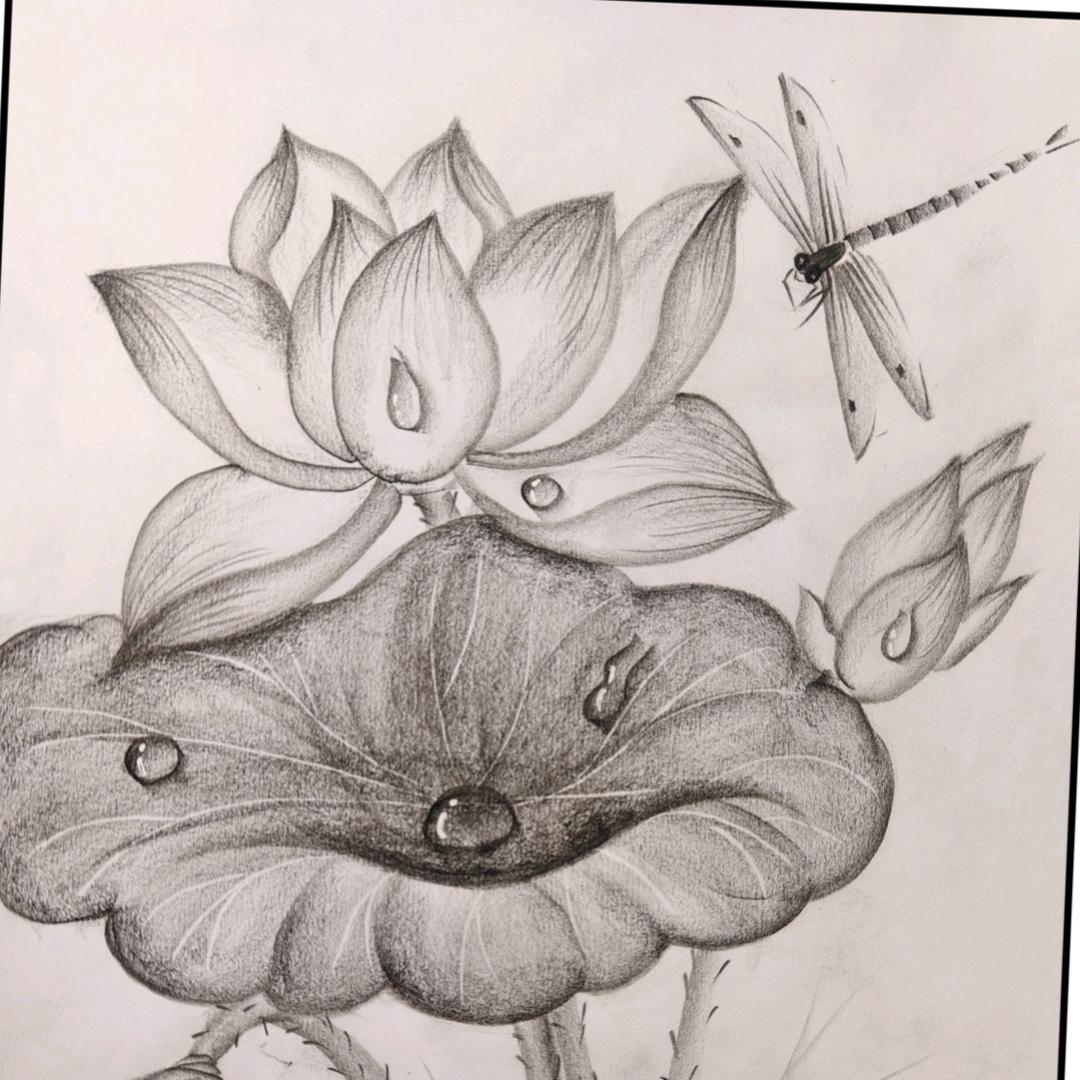 yoyo绘画