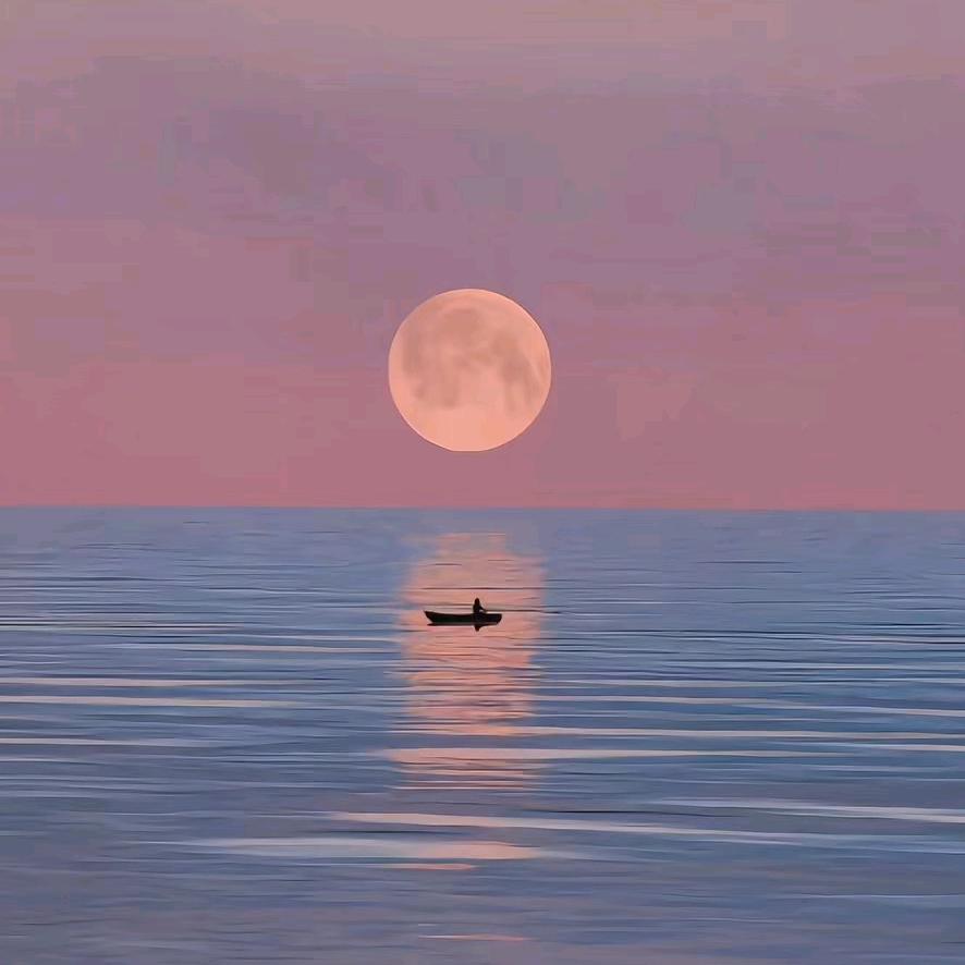 夏冬商行（食品）