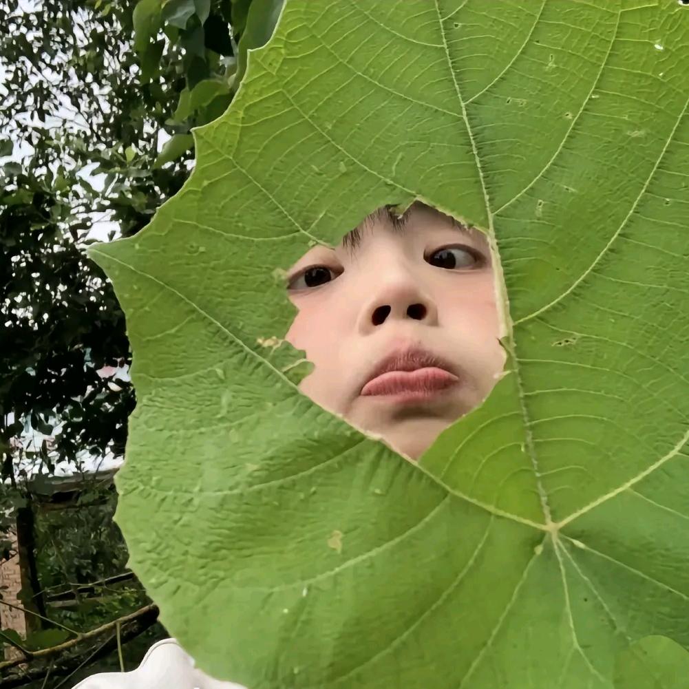 不吃西红柿炒鸡蛋啊啊！！