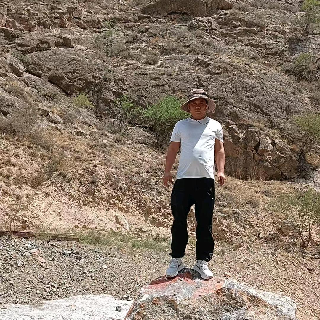 小豆，羊业，专业收羊，活羊一条龙服务