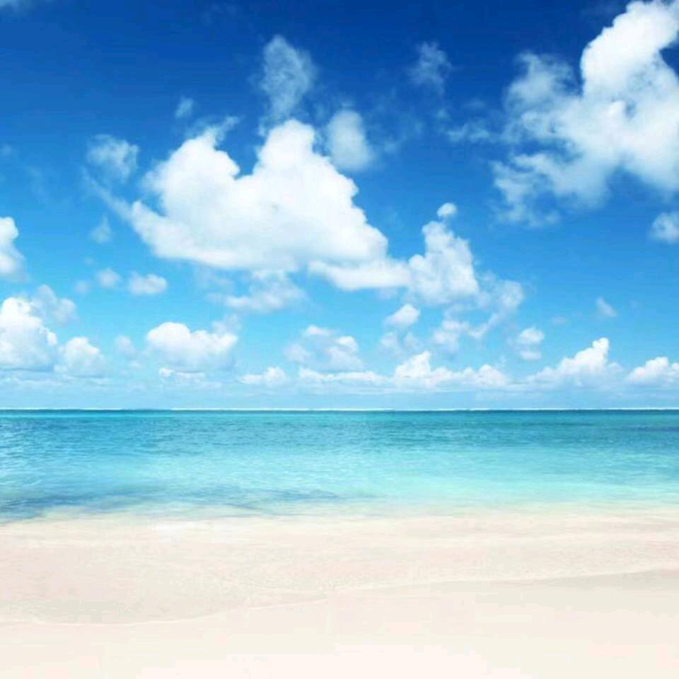 @༺留🌱年志༿༻