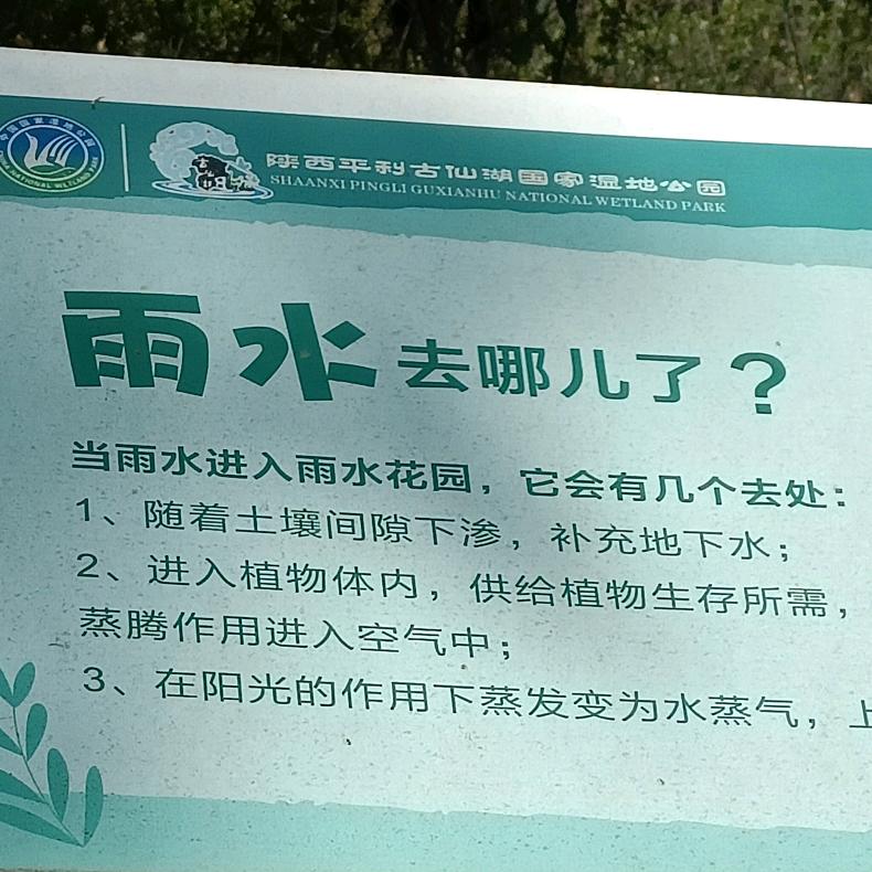 愚不可及