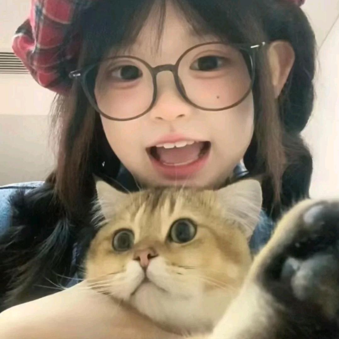 +小新