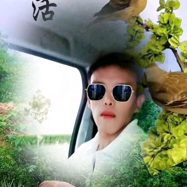 《杨》4米平板司机