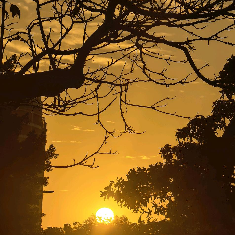 我在人间贩卖黄昏🌇