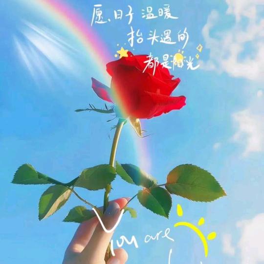 飞舞的蒲公英