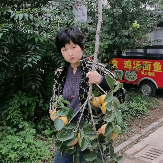 丽姐