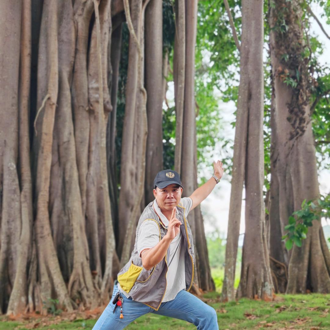 基诺山雨林徒步山猫老师