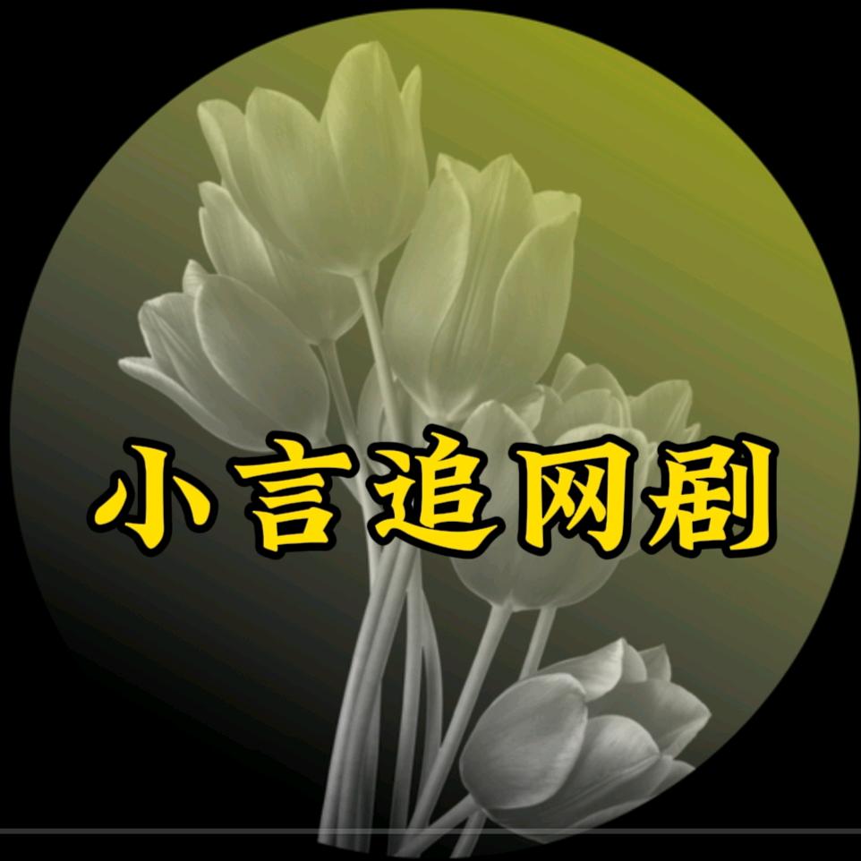 小言追网剧