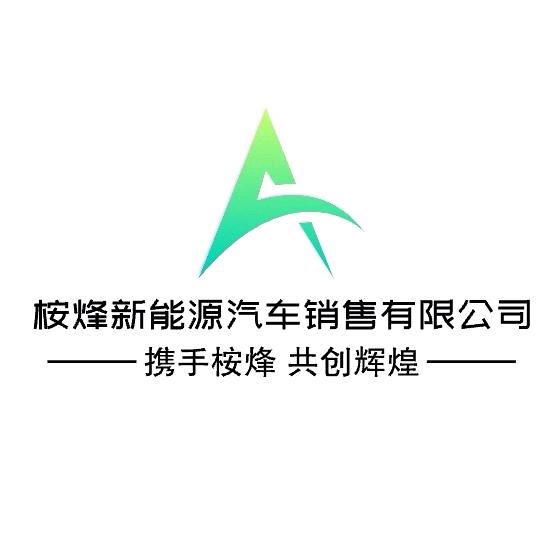 太原桉烽新能源