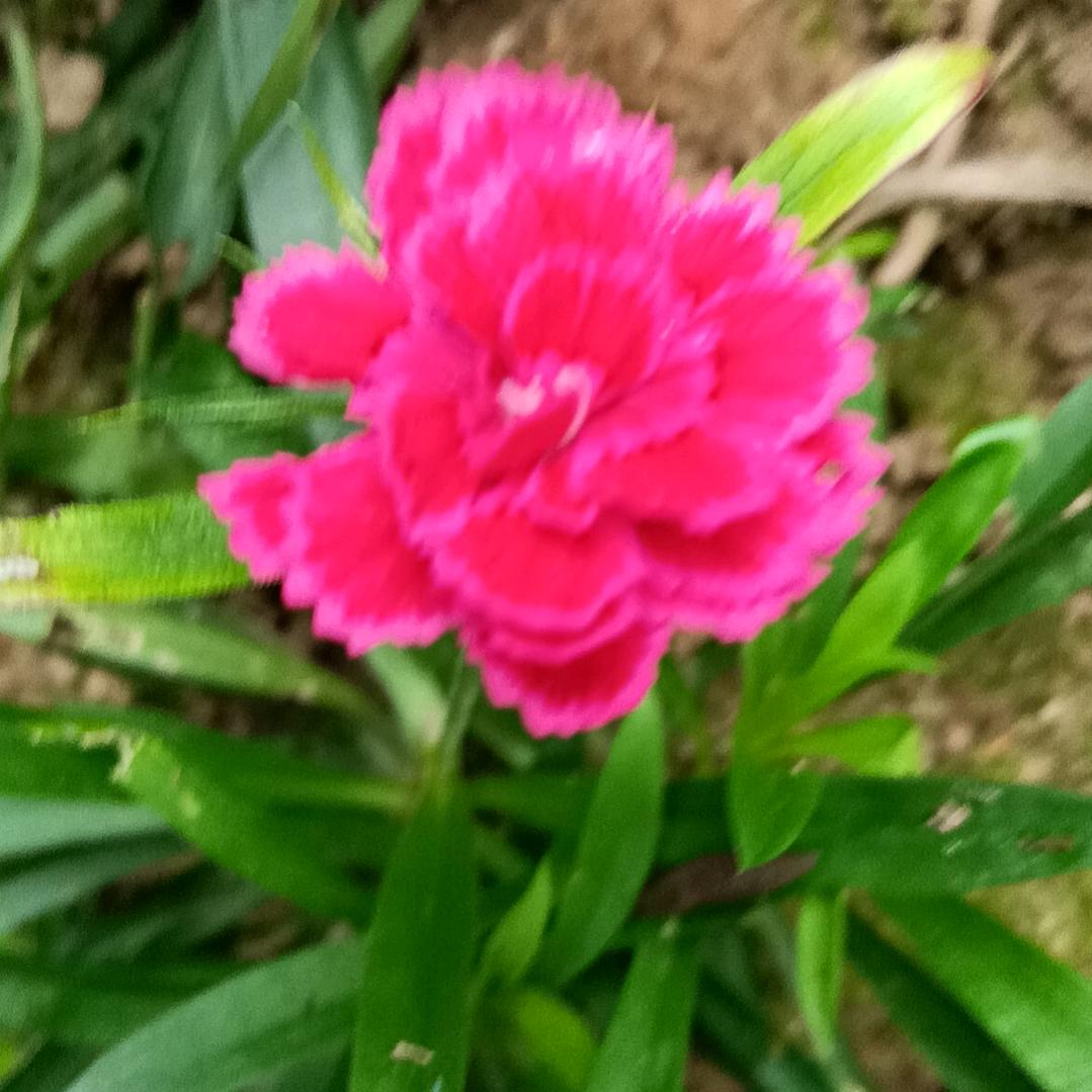 开心过好每一天😊