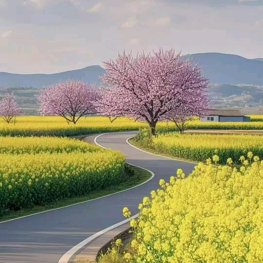 ollkkkpppapqppqowiru