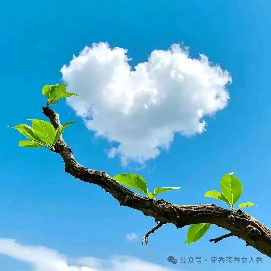 $向钱看💰向厚赚$