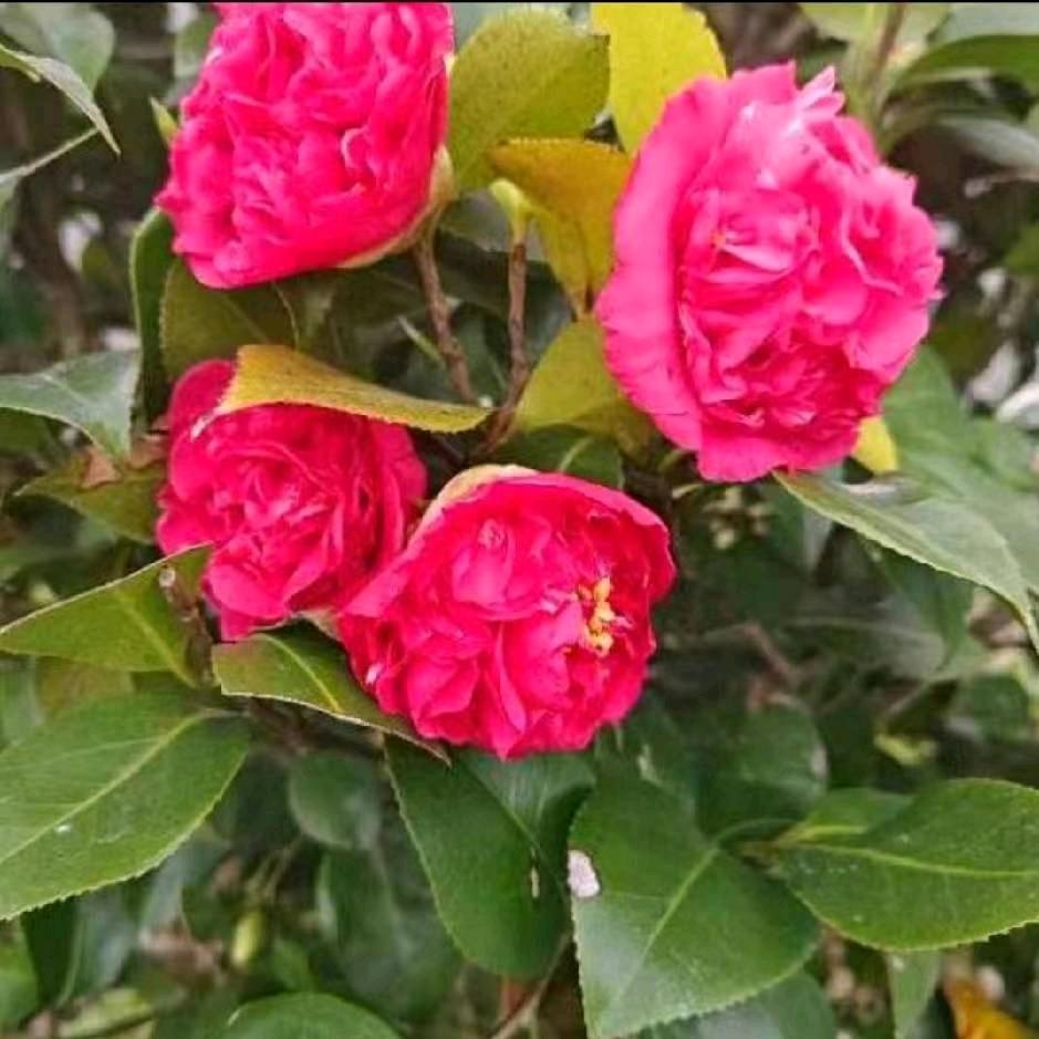 幸褔❤️