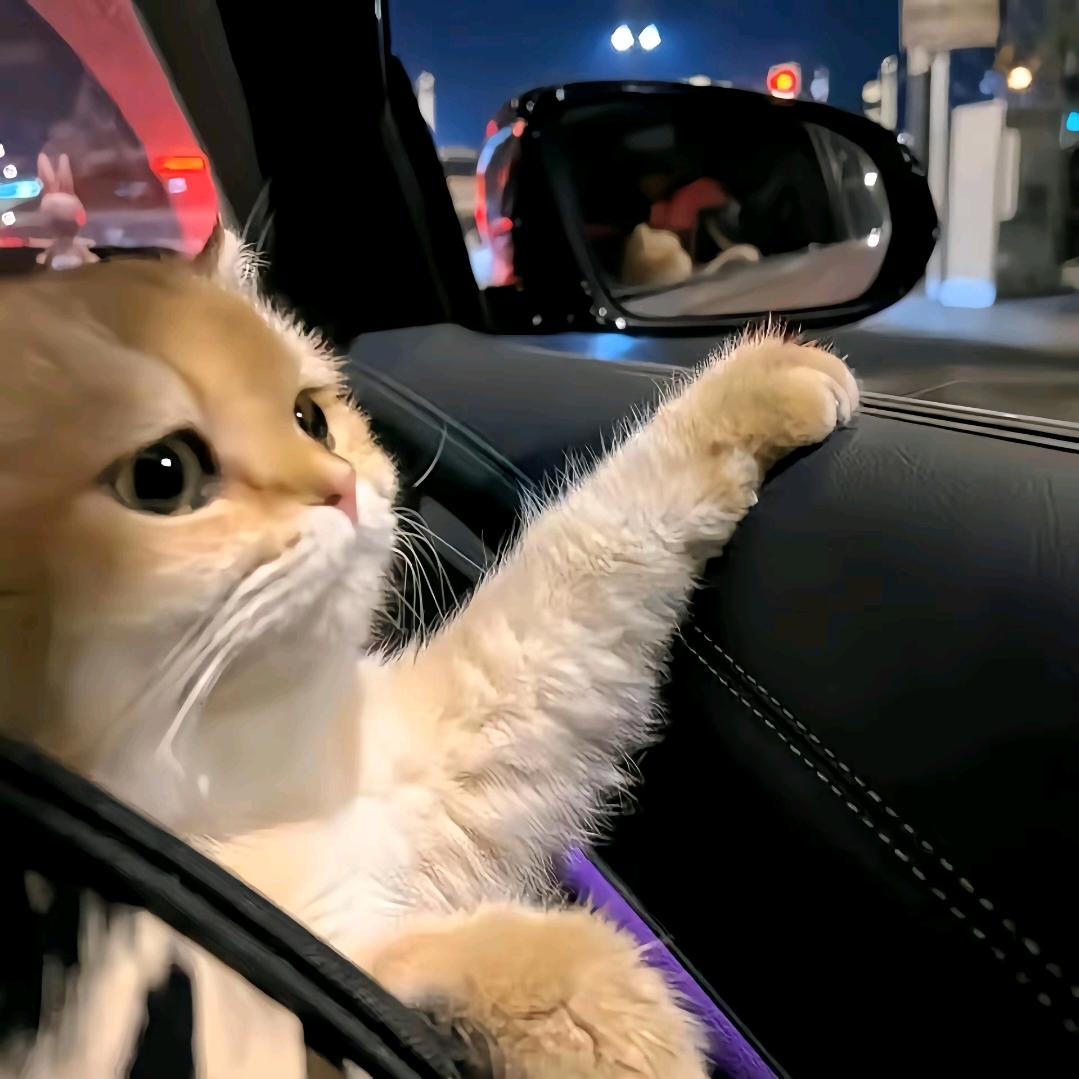 葡萄鸡丁不放鸡丁