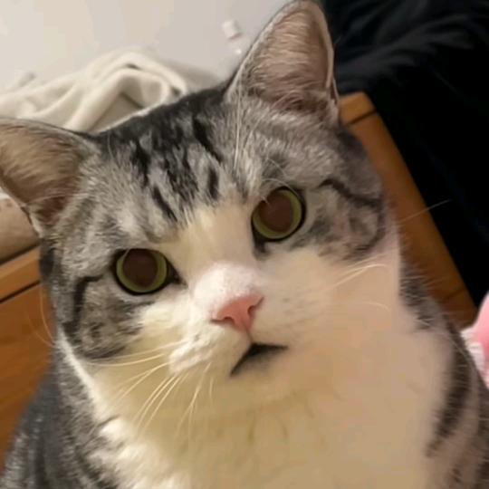 凯默