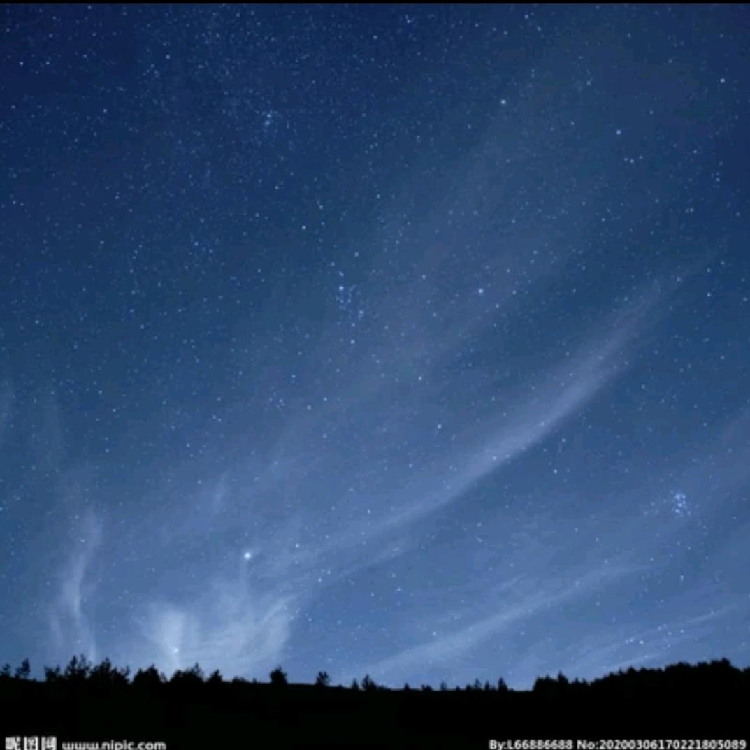 阳阳₍˄·͈༝·͈˄*₎◞ ̑̑