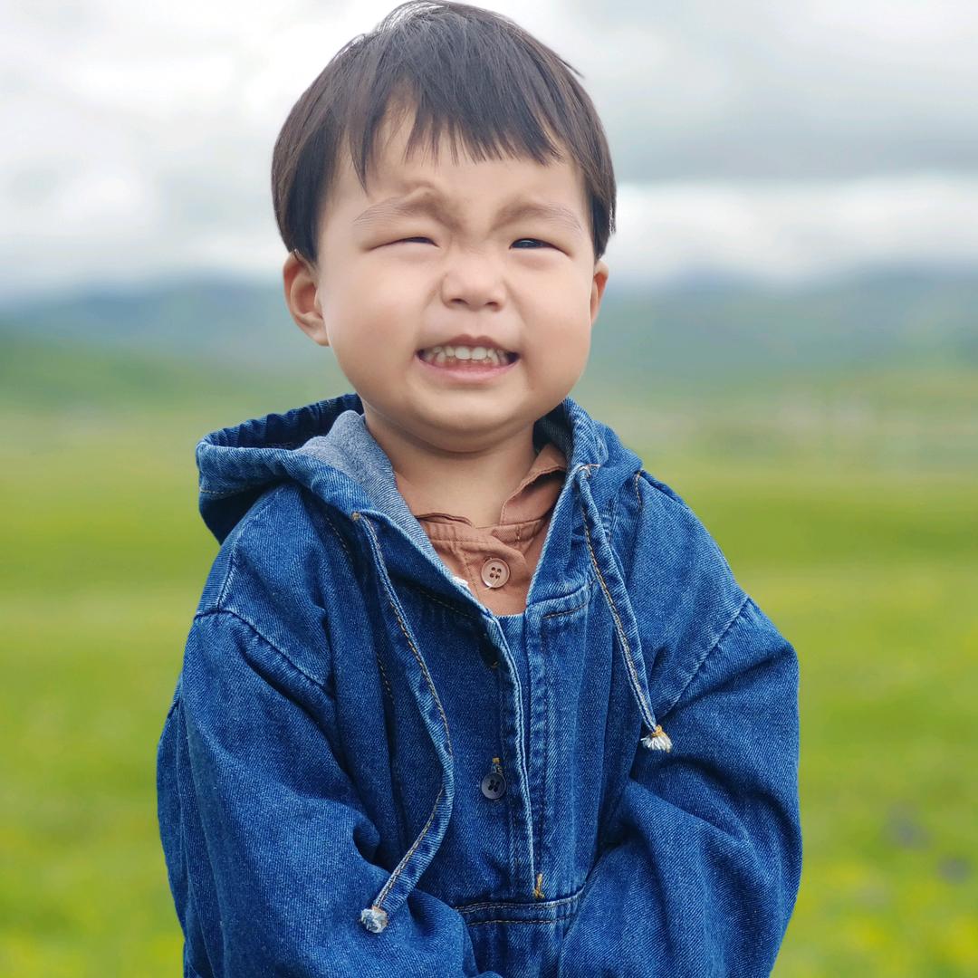 鲲