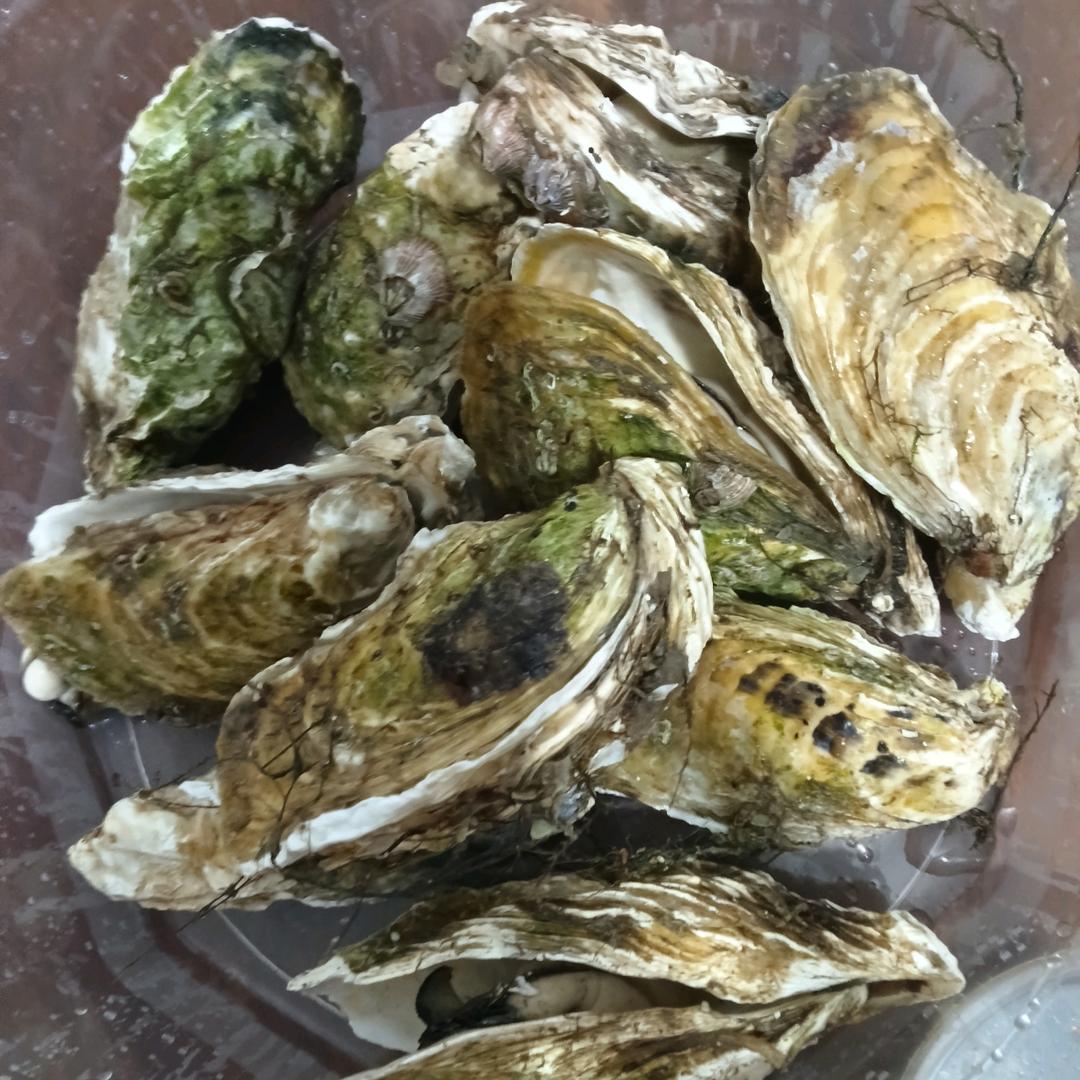 မိမိNad🌸🌺🌼🇨🇳