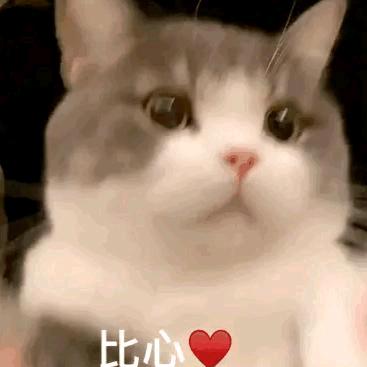 哎呀毕老师（三角洲行动）