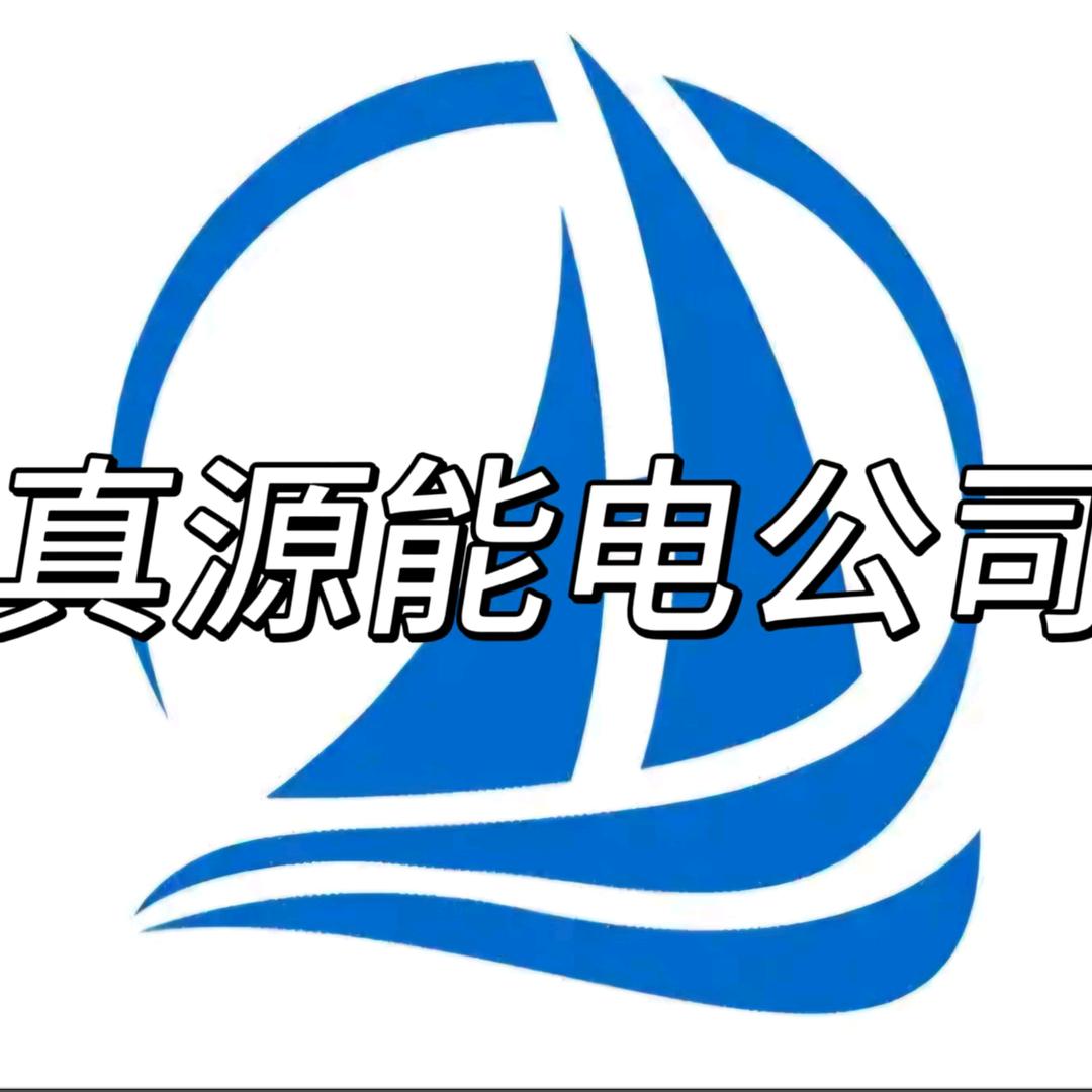 真源电池厂家