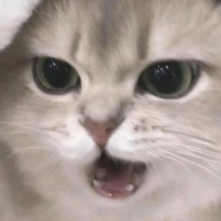 Jia佳♡头像