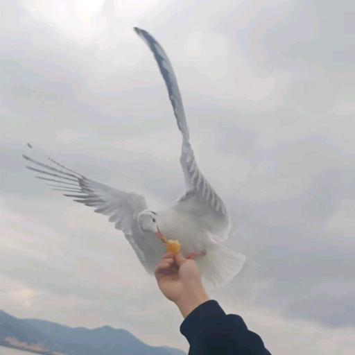 山卡卡里的打工仔