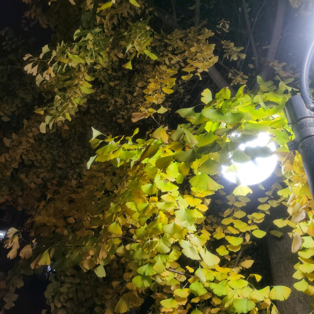 刘老师聊升学-福哥