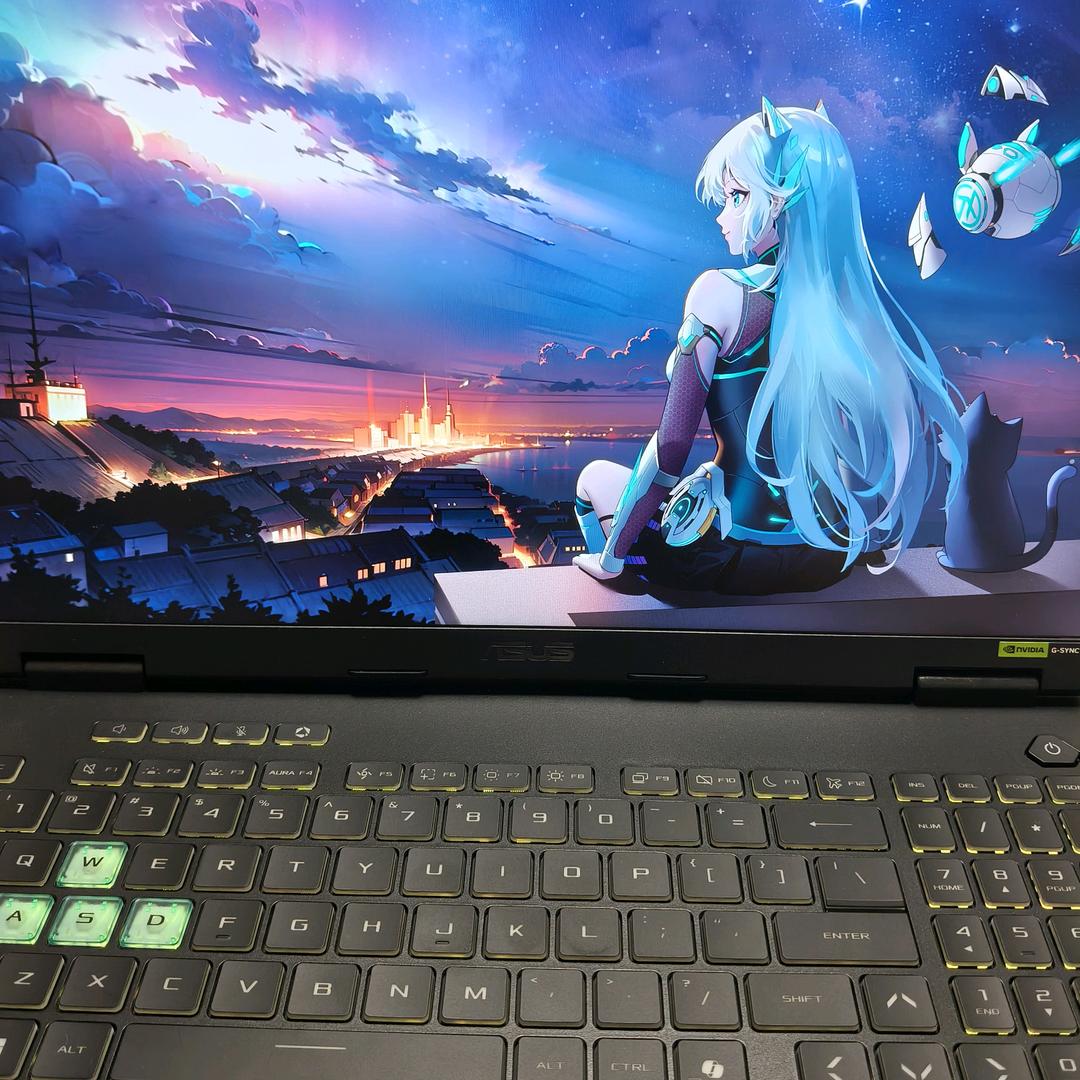 萍萍
